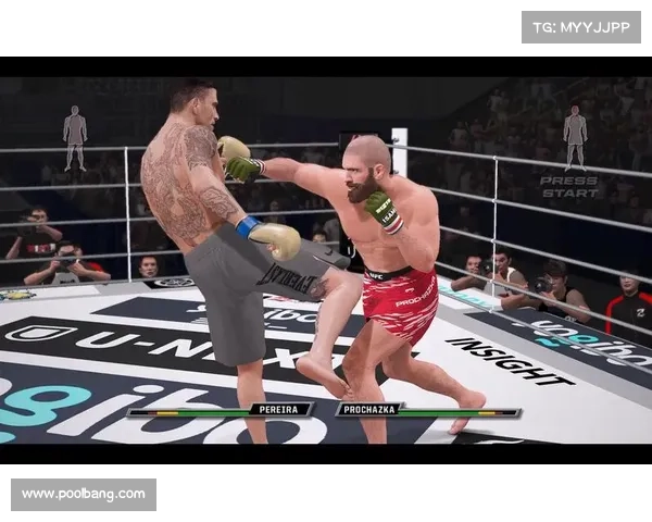 世界踢拳赛事组织有哪些