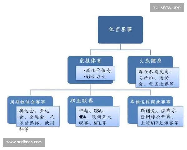体育赛事需要哪些申办流程 体育赛事需要哪些申办流程